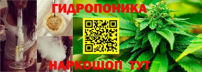дурь Ливны