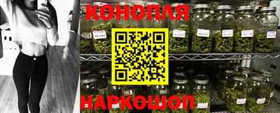 МДПВ Лесосибирск