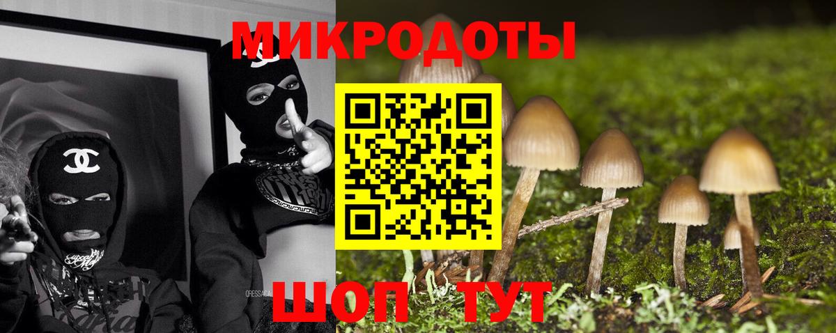 Ярославль  Галлюциногенные грибы MAGIC MUSHROOMS  Галлюциногенные грибы Psilocybe  Вход с VPN 
