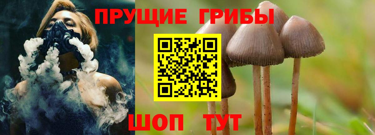 Галлюциногенные грибы прущие грибы Ярославль